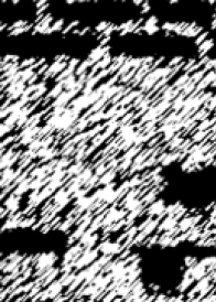 DCODEM 11