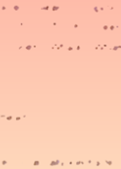 DCODEM 15