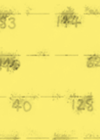 DCODEM 9
